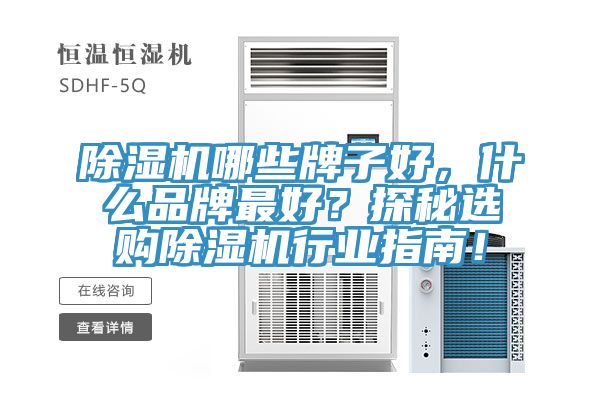 草莓视频污污污污哪些牌子好，什麽品牌最好？探秘選購草莓视频污污污污行業指南！