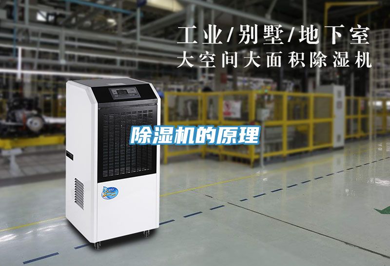 草莓视频污污污污的原理