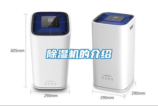 草莓视频污污污污的介紹