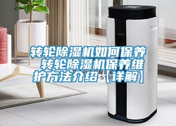 轉輪草莓视频污污污污如何保養 轉輪草莓视频污污污污保養維護方法介紹【詳解】