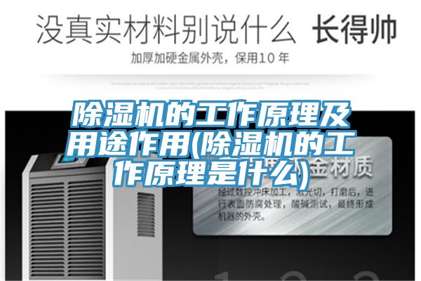 草莓视频污污污污的工作原理及用途作用(草莓视频污污污污的工作原理是什麽)