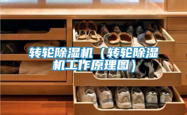 轉輪草莓视频污污污污（轉輪草莓视频污污污污工作原理圖）