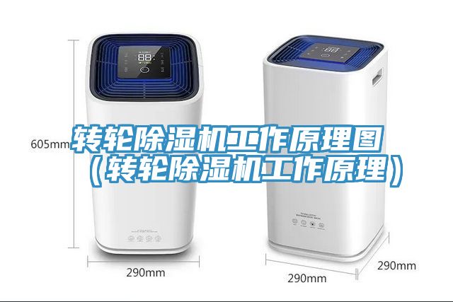 轉輪草莓视频污污污污工作原理圖（轉輪草莓视频污污污污工作原理）
