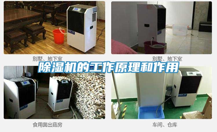 草莓视频污污污污的工作原理和作用