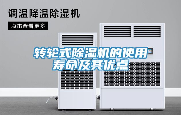 轉輪式草莓视频污污污污的使用壽命及其優點