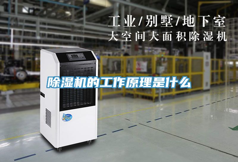 草莓视频污污污污的工作原理是什麽