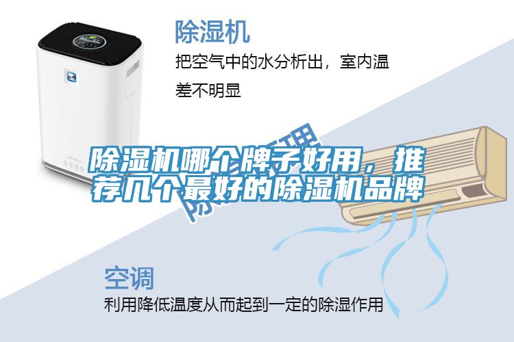 草莓视频污污污污哪個牌子好用，推薦幾個最好的草莓视频污污污污品牌