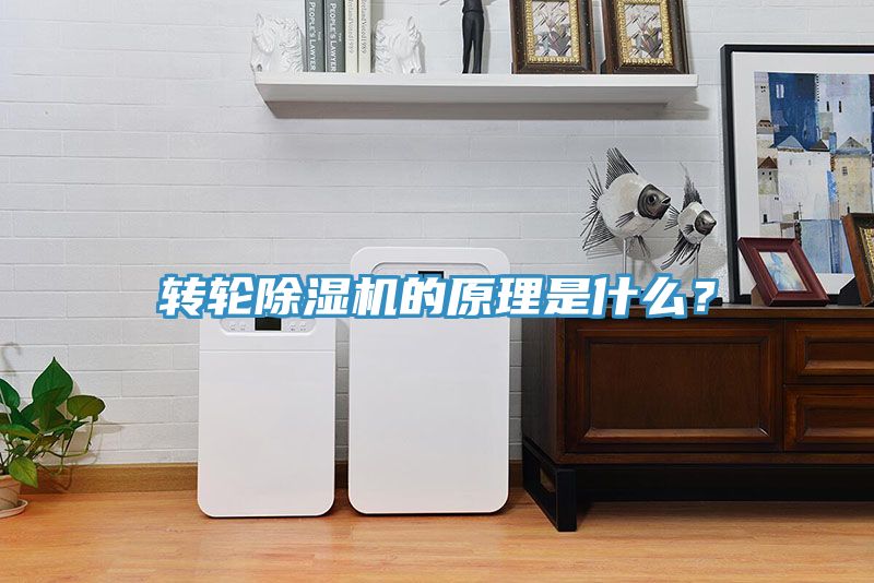 轉輪草莓视频污污污污的原理是什麽？