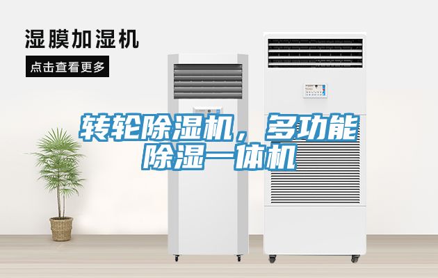 轉輪草莓视频污污污污，多功能除濕一體機