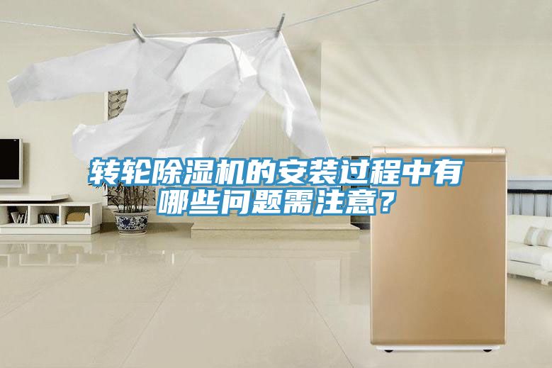 轉輪草莓视频污污污污的安裝過程中有哪些問題需注意？
