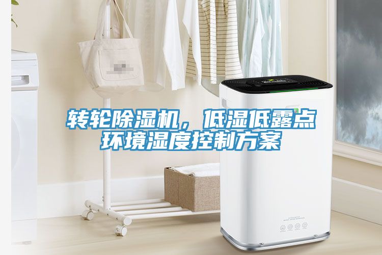 轉輪草莓视频污污污污，低濕低露點環境濕度控製方案