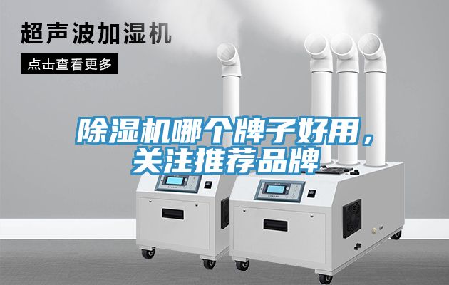 草莓视频污污污污哪個牌子好用，關注推薦品牌