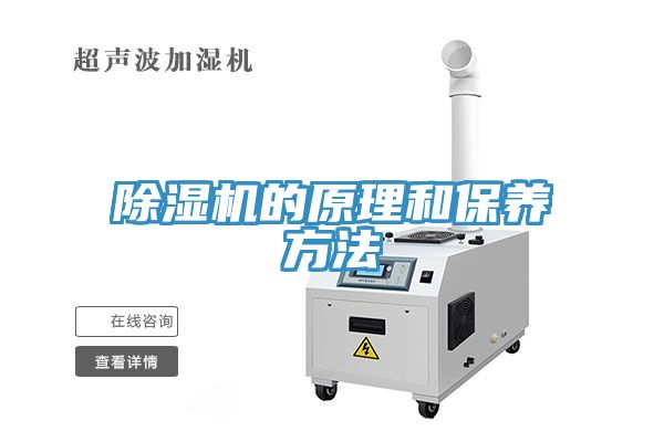 草莓视频污污污污的原理和保養方法