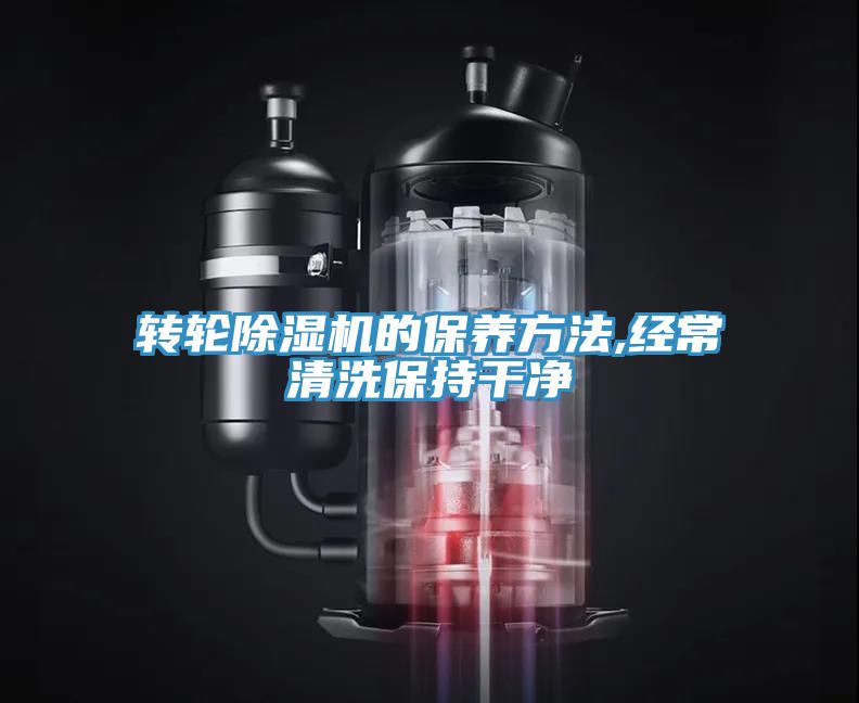 轉輪草莓视频污污污污的保養方法,經常清洗保持幹淨