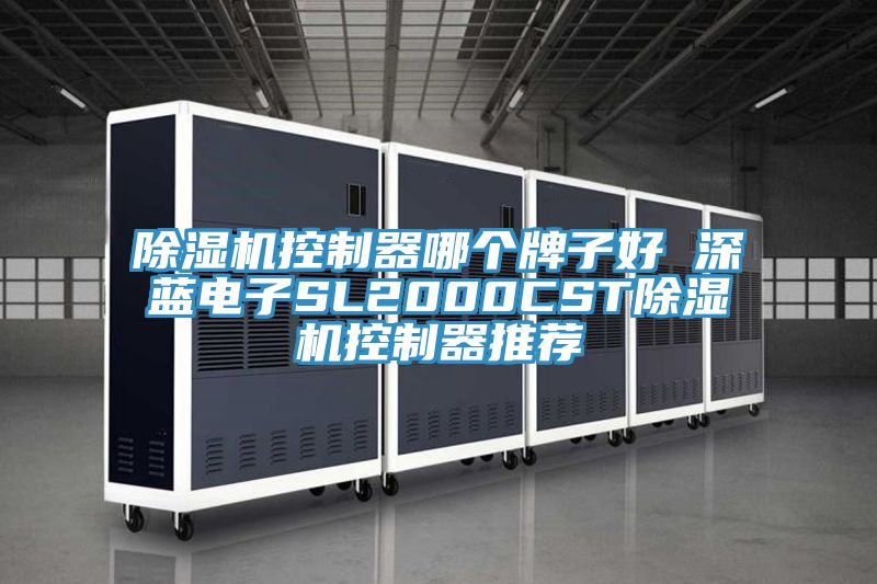 草莓视频污污污污控製器哪個牌子好 深藍電子SL2000CST草莓视频污污污污控製器推薦
