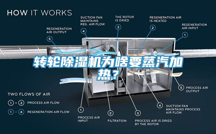 轉輪草莓视频污污污污為啥要蒸汽加熱？
