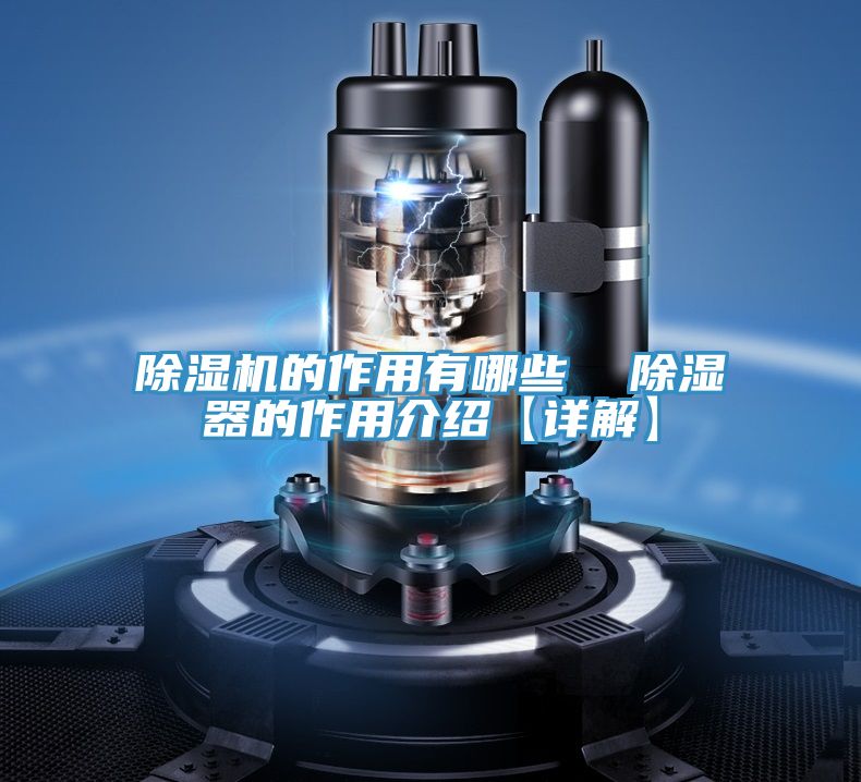 草莓视频污污污污的作用有哪些  除濕器的作用介紹【詳解】
