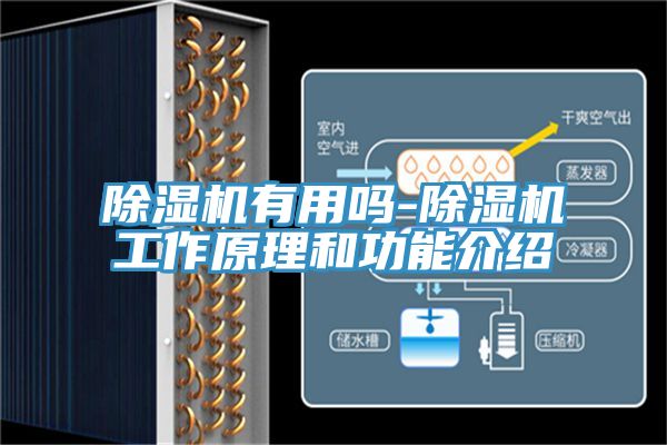 草莓视频污污污污有用嗎-草莓视频污污污污工作原理和功能介紹