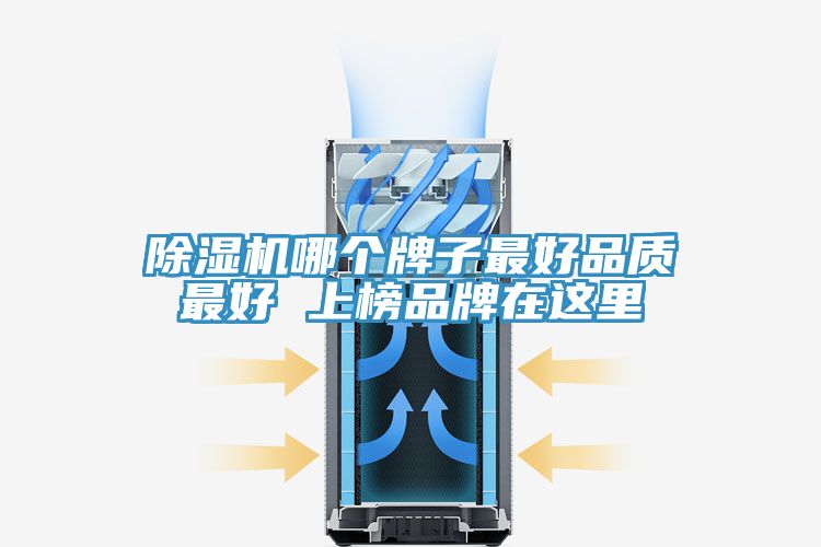 草莓视频污污污污哪個牌子最好品質最好 上榜品牌在這裏