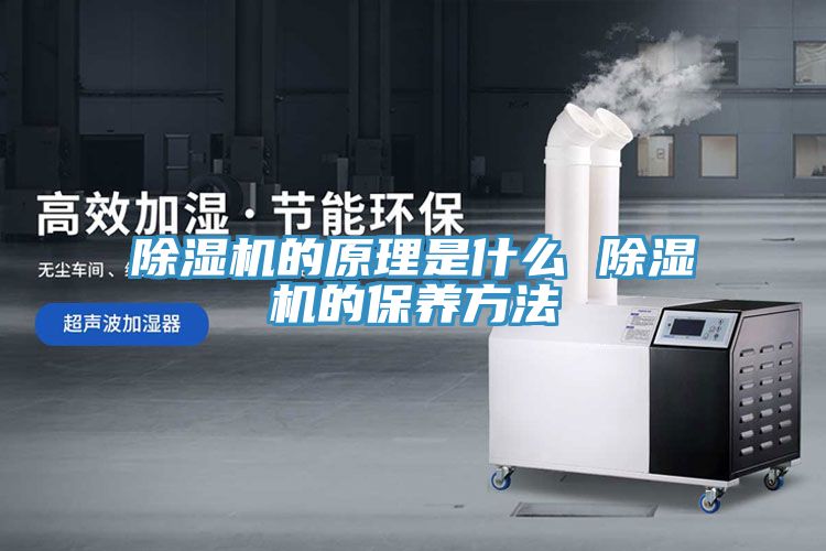 草莓视频污污污污的原理是什麽 草莓视频污污污污的保養方法