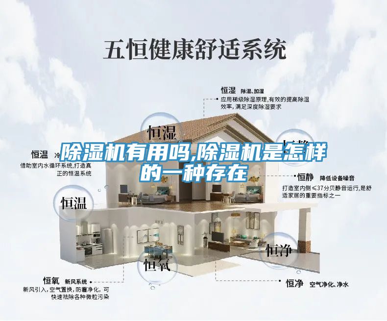 草莓视频污污污污有用嗎,草莓视频污污污污是怎樣的一種存在