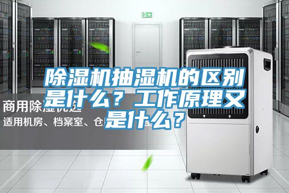 草莓视频污污污污抽濕機的區別是什麽？工作原理又是什麽？