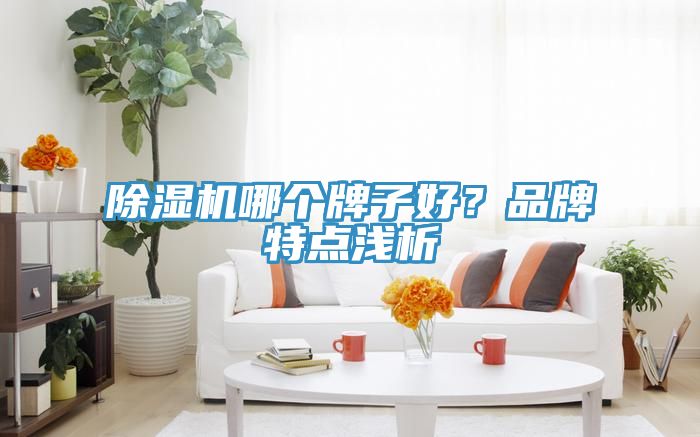 草莓视频污污污污哪個牌子好？品牌特點淺析