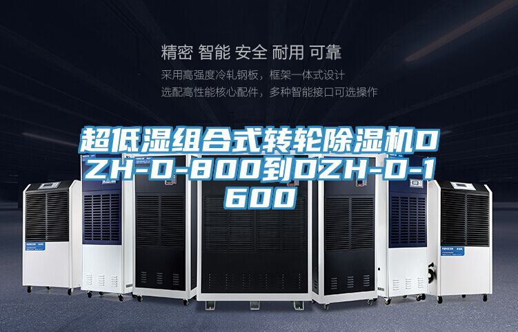 超低濕組合式轉輪草莓视频污污污污DZH-D-800到DZH-D-1600