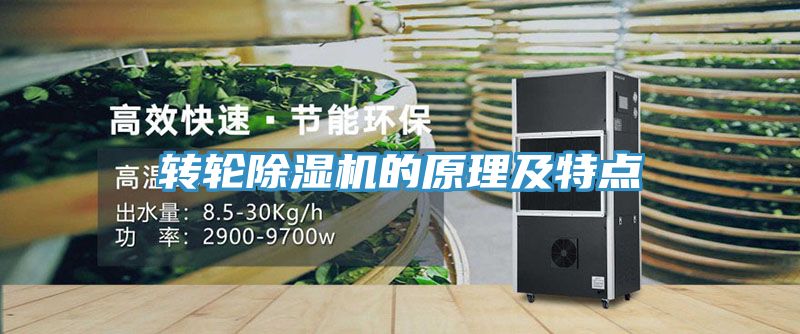 轉輪草莓视频污污污污的原理及特點