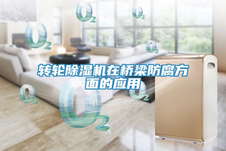 轉輪草莓视频污污污污在橋梁防腐方麵的應用