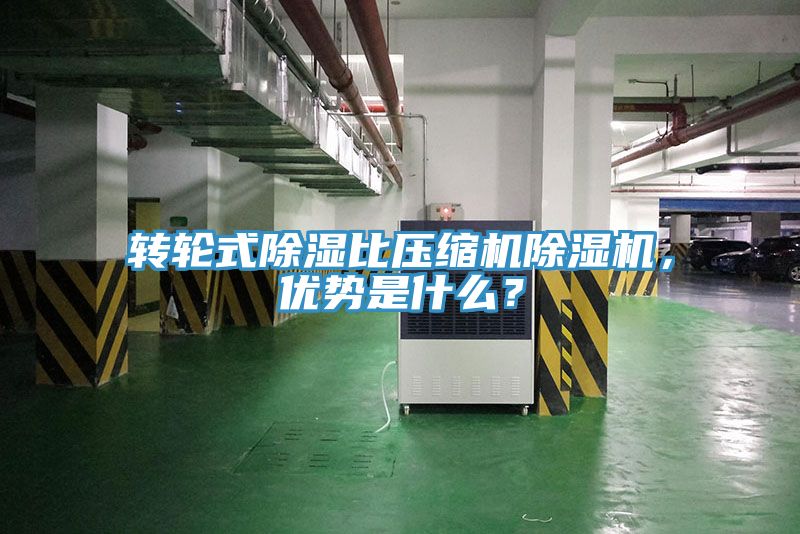 轉輪式除濕比壓縮機草莓视频污污污污，優勢是什麽？