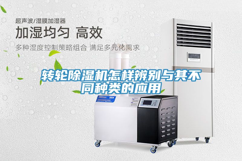 轉輪草莓视频污污污污怎樣辨別與其不同種類的應用