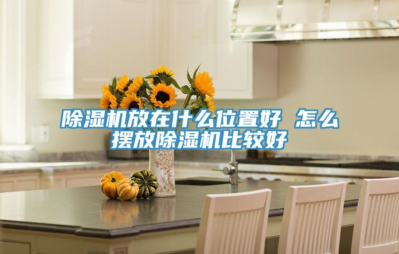 草莓视频污污污污放在什麽位置好 怎麽擺放草莓视频污污污污比較好