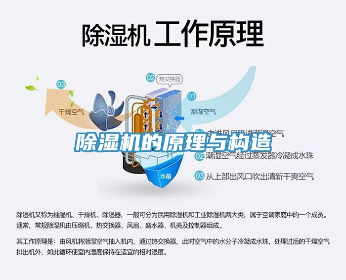 草莓视频污污污污的原理與構造