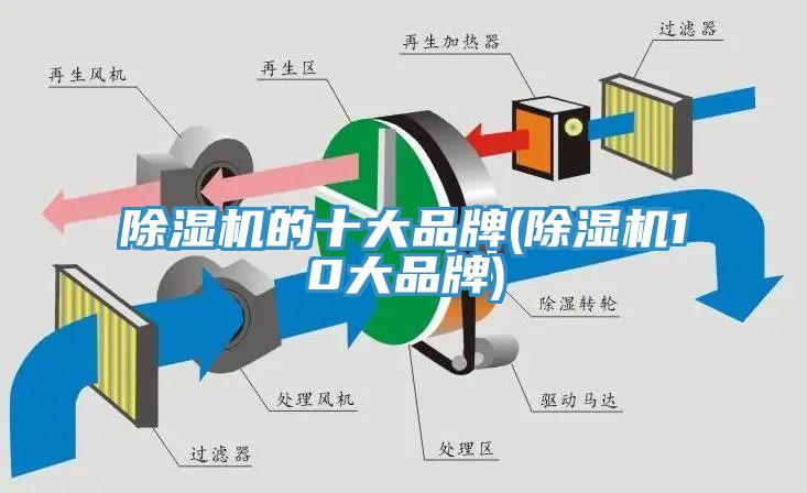 草莓视频污污污污的十大品牌(草莓视频污污污污10大品牌)