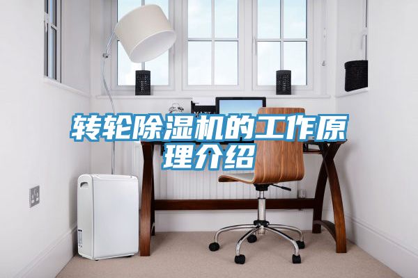 轉輪草莓视频污污污污的工作原理介紹