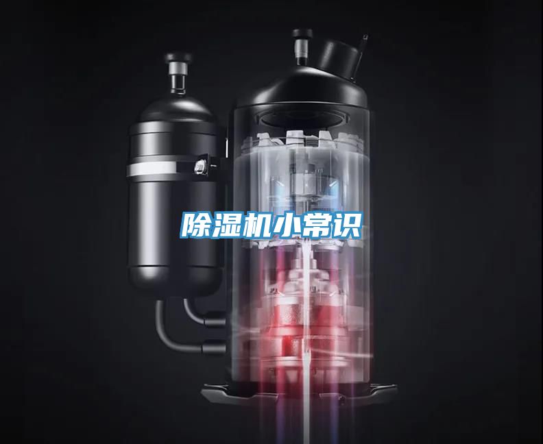 草莓视频污污污污小常識