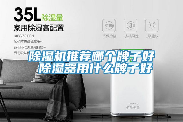 草莓视频污污污污推薦哪個牌子好 除濕器用什麽牌子好