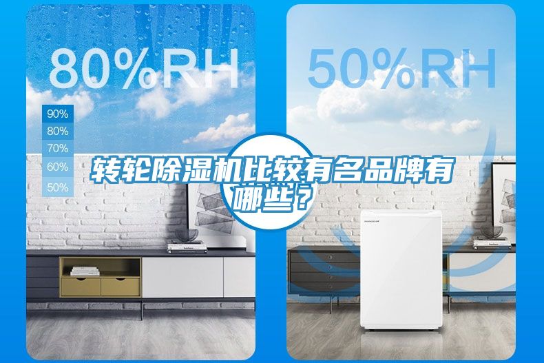 轉輪草莓视频污污污污比較有名品牌有哪些？