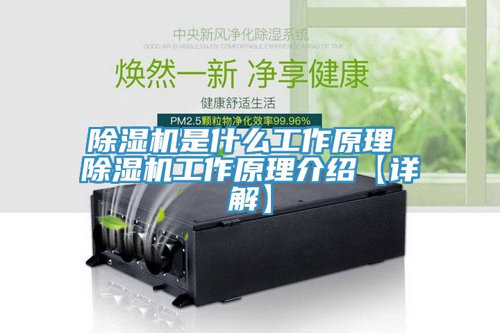 草莓视频污污污污是什麽工作原理 草莓视频污污污污工作原理介紹【詳解】