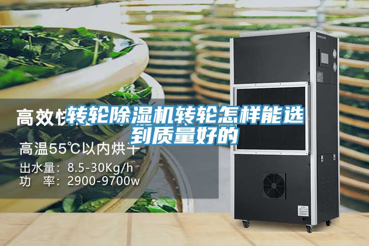 轉輪草莓视频污污污污轉輪怎樣能選到質量好的