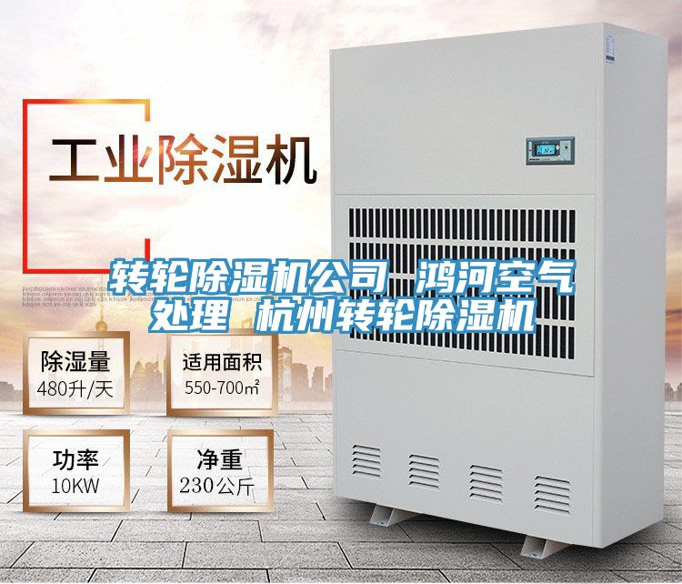 轉輪草莓视频污污污污公司 鴻河空氣處理 杭州轉輪草莓视频污污污污