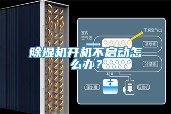 草莓视频污污污污開機不啟動怎麽辦？