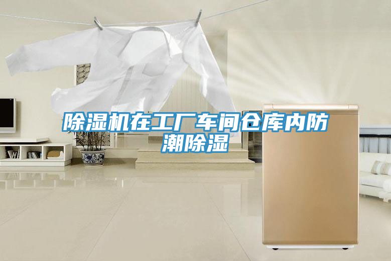 草莓视频污污污污在工廠車間倉庫內防潮除濕