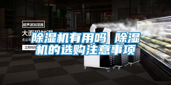 草莓视频污污污污有用嗎 草莓视频污污污污的選購注意事項