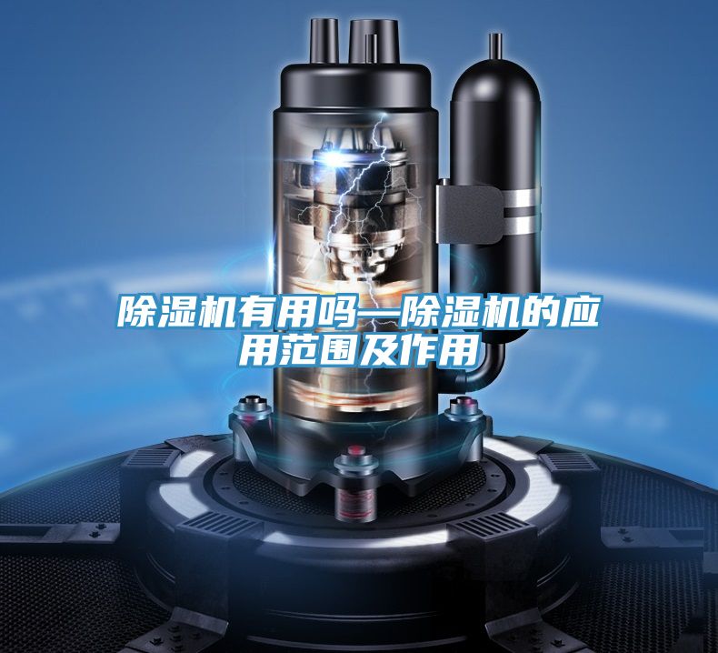 草莓视频污污污污有用嗎—草莓视频污污污污的應用範圍及作用
