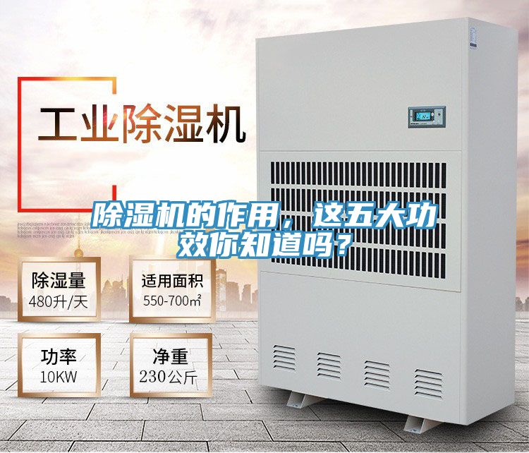 草莓视频污污污污的作用，這五大功效你知道嗎？