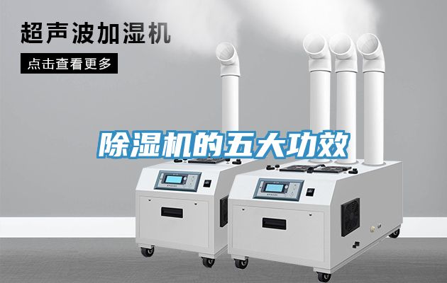草莓视频污污污污的五大功效